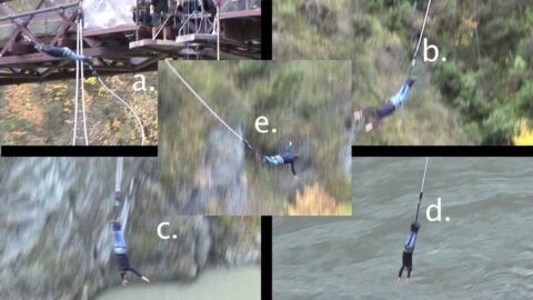 When Is A Bungee Jumper’s Acceleration Max?