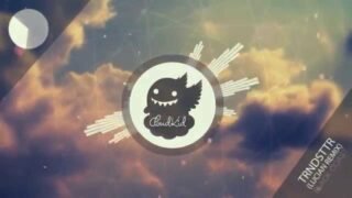 Black Coast – TRNDSTTR (Lucian Remix)