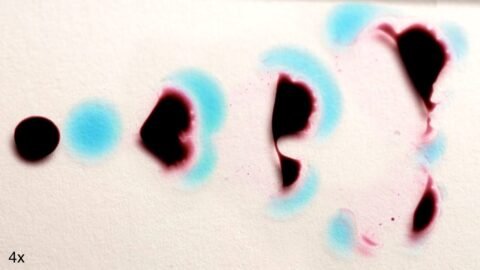 These Liquids Look Alive!