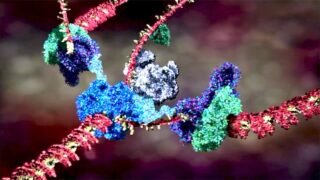 Your Body’s Molecular Machines