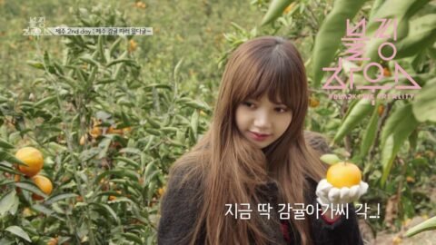 BLACKPINK – ‘블핑하우스 (BLACKPINK HOUSE)’ EP.11-1
