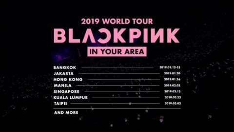 BLACKPINK – 2019 WORLD TOUR [IN YOUR AREA] SPOT