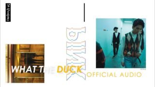 De Flamingo – ฝูง (Flock) [Official Audio]