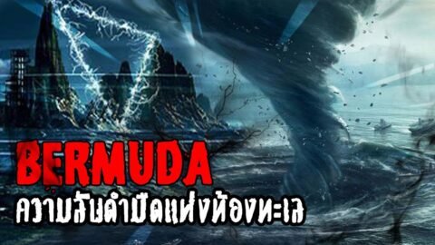 [DODI] สามเหลี่ยมเบอร์มิวด้า ปริศนาที่ไร้คำตอบ | หลอนดูดิ EP.6 The Bermuda Triangle [ดูดิ]
