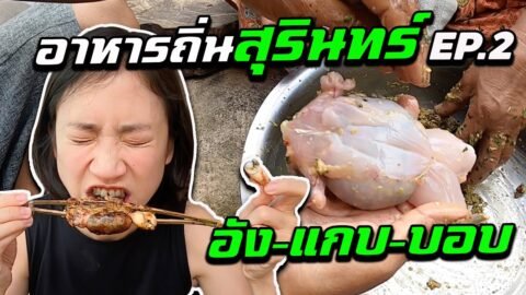 ‘Grilled Frog Sausage’ Best Local Isan food in Surin(2/4)