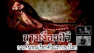 นางเงือกฟิจิ ตำนานโชว์นางเงือกที่ทั่วโลกตกตะลึง | หลอนดูดิ EP.30