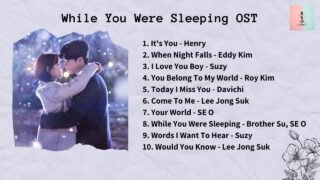 [ FULL ALBUM ] While You Were Sleeping OST (당신이 잠든 사이에 OST)