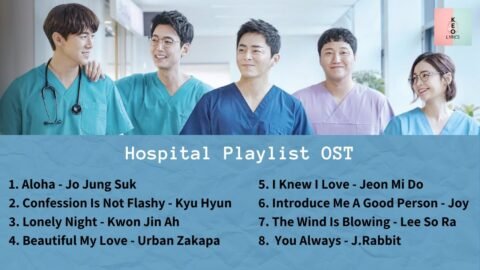 [ FULL ALBUM ] Hospital Playlist OST (슬기로운 의사생활 OST)