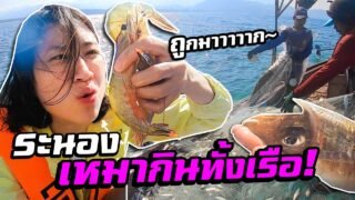 ระนอง- ถูกกกขนาดนี้ เหมากินทั้งเรือ!