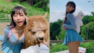 알파카가 뱉은 침 맞아 본 사람 나야 나… 침 맞아도 행복한 알파카 월드 브이로그