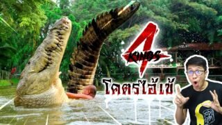 จระเข้ยักษ์ ที่เป็นที่สุดของที่สุดเท่าที่มนุษย์เคยพบเจอ | หลอนดูดิ EP.78