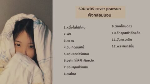 รวมเพลงฟังสบายๆกล่อมนอน Cover By Praesun