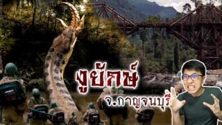 งูยักษ์ ในป่าลึกของจังหวัดกาญจนบุรี | หลอนดูดิ EP.84
