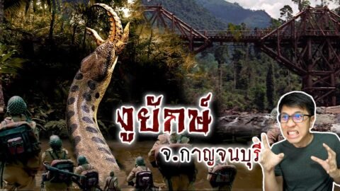 งูยักษ์ ในป่าลึกของจังหวัดกาญจนบุรี | หลอนดูดิ EP.84