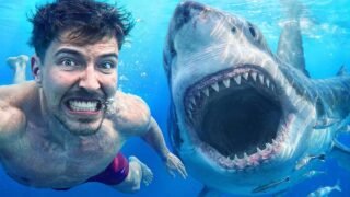 Would You Swim With Sharks For $100,000?