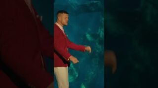 You’re swimming with sharks… #shorts #sharks