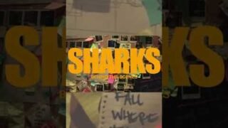 get behind the scenes of the new Sharks music video #shorts #sharkweek