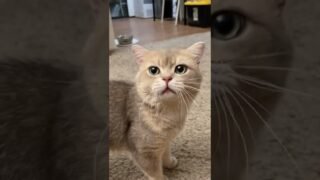 Cash: should I pay attention to mom if she comes home from a trip without a gift?