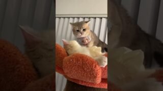 🆘How to do when your wife gets angry?