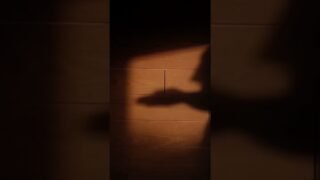 Until I found you – cover #praesun