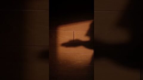Until I found you – cover #praesun