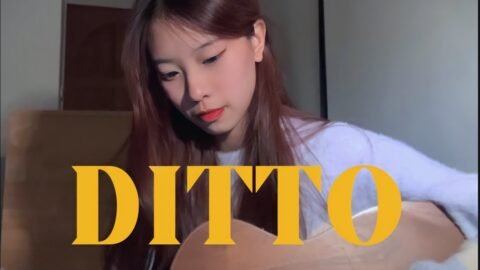 Ditto – NewJeans (praesun cover)