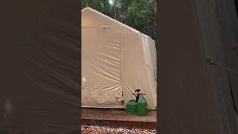 폭설 캠핑에 대처하는 댕댕이의 자세#camping