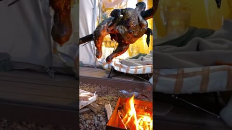 닭구이 비주얼 무엇? #camping #네이처하이크 #솔캠 #캠핑 #장박