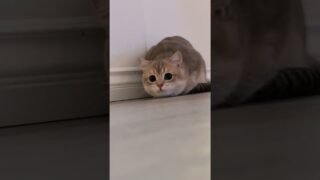 Can’t get enough of this butt wiggle 😆