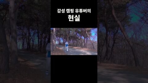 캠핑유튜버의 현실 #camping #솔캠