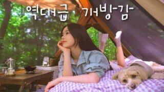 텐트가 이정도로 개방감이 좋다고? | 조용한 숲속에서 수육삶고 비빔국수 만들어 먹기 (시원한 막걸리한잔) | 애견동반캠핑