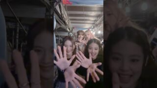 #BLACKPINK 만 남아🖤💖 #JISOO_FLOWER #지수꽃 #JISOO #지수 #JENNIE #제니 #ROSÉ #로제 #LISA #리사 #FLOWERchallenge