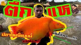 เซียนหรั่ง – วิถีชีวิตแบบมะลายยายอยาก l ตอน ตึกแห