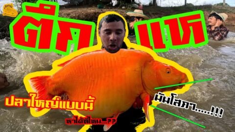 เซียนหรั่ง – วิถีชีวิตแบบมะลายยายอยาก l ตอน ตึกแห