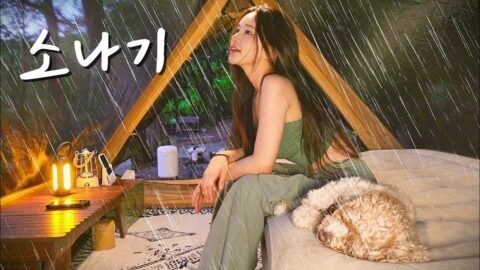 한여름 밤 숲을 적시는 시원한 소나기 | 김치 카레우동에 소주한잔 | 오겹살 시원한 소맥 삼각김밥 만들어먹기