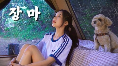 폭우 내리는 숲속에서 두부김치 와 뜨끈한 어묵탕에 막걸리 한잔 (물떡, 숯불 양념돼지갈비) | 쥬빌런트 2in1 석쇠그릴 추천 | 애견동반캠핑
