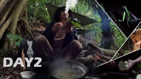 ลุยป่าดิบโหด 4 วัน 4 คืน Ep.2 ออกตามล่าอาหาร…!! [ โจโฉ ]