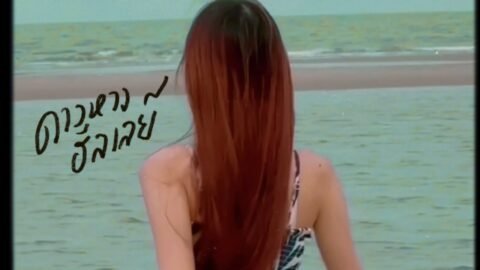 ดาวหางฮัลเลย์ – fellow fellow (praesun cover)