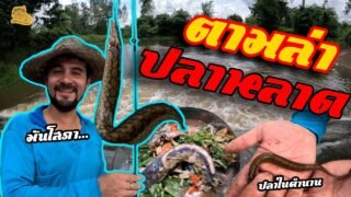 เซียนหรั่ง – วิถีชีวิตแบบมะลายยายอยาก l ตอน ตามล่าปลาหลาด