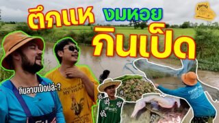 เซียนหรั่ง – วิถีชีวิตแบบมะลายยายอยาก | ตอน ตึกแหกินเป็ด
