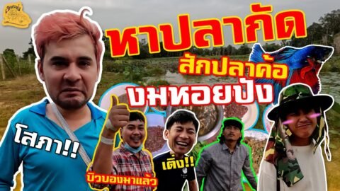 เซียนหรั่ง – วิถีชีวิตแบบมะลายยายอยาก I ตอน หาปลากัด สักปลาค้อ งมหอยปัง