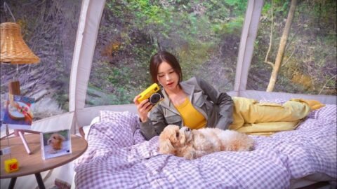 가을이 찾아온 숲속 투명 텐트에서 따끈한 소고기 샤브샤브에 정종한잔 | 코닥 미니샷 3ERA로 사진 찍고 텐트 꾸미기 (미니샷 3ERA구독자 이벤트)
