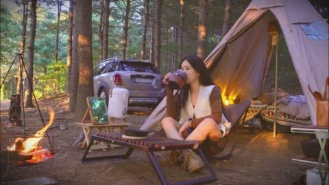 잣나무 숲속에서 화목난로피우고 닭볶음탕 끓여먹기 | 감바스에 시원한 맥주한잔(명란솥밥) | 애견동반캠핑