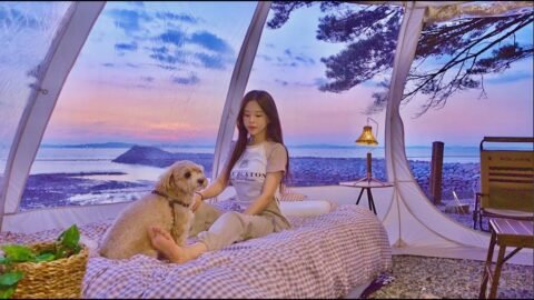 푸른 바다앞 투명텐트 치고 모듬 해산물구이에 연태고량주 마셔보기 | 빨간 어묵탕 과 구독자님께서 주신 갑오징어회 (대파크림치즈 크로플) | 폴라리스 P1 TPU쉘터