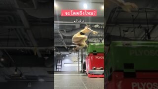 ความพยายาม = …. #workout #ออกกำลังกาย
