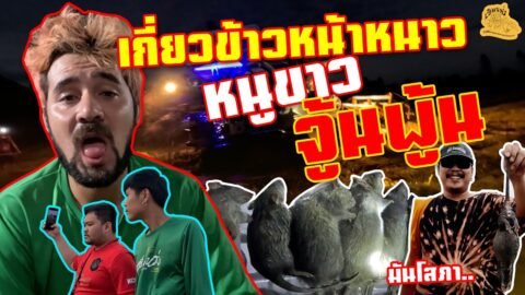 เซียนหรั่ง – วิถีชีวิตแบบมะลายยายอยาก l ตอน เกี่ยวข้าวหน้าหนาว หนูขาวจู้นพู้น