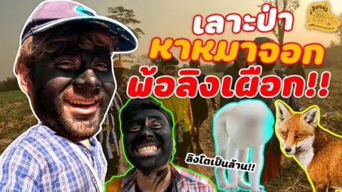 เซียนหรั่ง – วิถีชีวิตแบบมะลายยายอยาก l ตอน เข้าป่า หาหมาจอก พ้อลิงเผือก