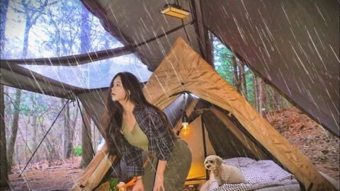 🌧봄비 내리는 숲 대형 쉘터속 아늑한 텐트 | 생선구이에 소주 | 연어초밥과 따끈한 스키야키 | 강아지와 함께 캠핑