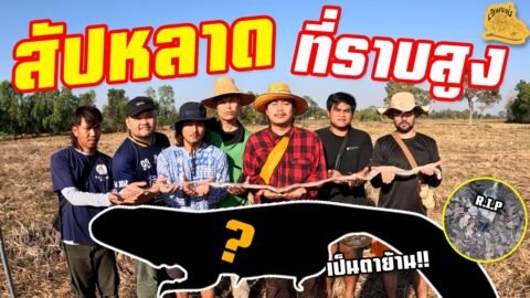 เซียนหรั่ง – วิถีชีวิตแบบมะลายยายอยาก l ตอน สัปหลาด ที่ราบสูง