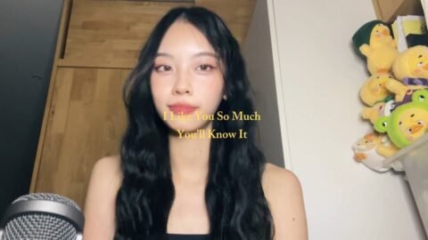 I Like You So Much, You’ll Know It – praesun cover